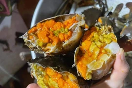 Hải sản giảm giá “sốc”, tôm hùm Alaska chỉ từ 349.000 đồng/con vẫn ế