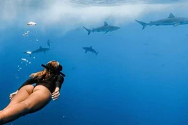 "VĐV bóng chuyền quyến rũ nhất hành tinh" đi lặn biển cực mê