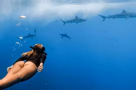 "VĐV bóng chuyền quyến rũ nhất hành tinh" đi lặn biển cực mê