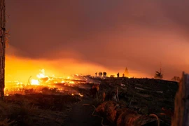 Cháy rừng ở California: Thêm gần 200.000 người cần sơ tán
