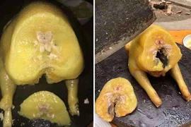 Gà luộc "mỡ nguyên con", khổ chủ khóc không thành tiếng