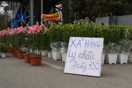 Thị trường Tết Nhâm Dần: Sức mua yếu, xả hàng ồ ạt