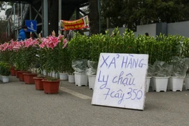 Thị trường Tết Nhâm Dần: Sức mua yếu, xả hàng ồ ạt