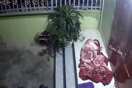 Can đảm "bật" vợ, các ông chồng nhận cái kết... đắng