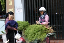 Tắm nước lá mùi già, nét đẹp phong tục ngày Tết