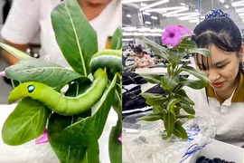 Nữ công nhân Hà Nam có "thú cưng" đặc biệt, nhìn rợn tóc gáy