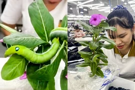 Nữ công nhân Hà Nam có "thú cưng" đặc biệt, nhìn rợn tóc gáy