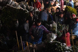 Chợ hoa Quảng Bá chật cứng "người bán kẻ mua" trong phiên cuối năm