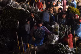 Chợ hoa Quảng Bá chật cứng "người bán kẻ mua" trong phiên cuối năm