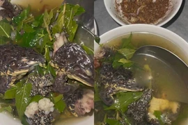 Nấu canh ếch đồng, cô gái khiến nhà bạn trai "xỉu ngang"