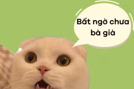 Câu nói viral “bất ngờ chưa bà già” gây tranh cãi lớn vì đâu?