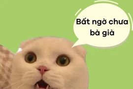 Câu nói viral “bất ngờ chưa bà già” gây tranh cãi lớn vì đâu?