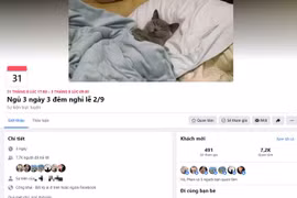 Trào lưu "ngủ 3 ngày 3 đêm nghỉ lễ 2/9" được hưởng ứng