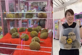 Độc lạ Singapore, máy gắp sầu riêng thay vì gấu