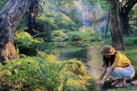 MXH sôi sục bởi quán cafe được ví như trốn thần tiên 