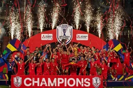 Lịch trình ĐT Việt Nam về nước cùng cúp vàng AFF Cup ra sao?