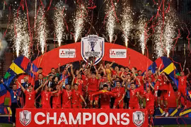 Lịch trình ĐT Việt Nam về nước cùng cúp vàng AFF Cup ra sao?