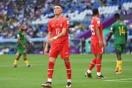 Thắng nhẹ Cameroon, Thụy Sĩ chưa đạt kì vọng của NHM