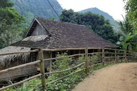 Nhiều bé gái bị hiếp dâm, dâm ô ở Thanh Hóa: Tin bất ngờ về kẻ bệnh hoạn