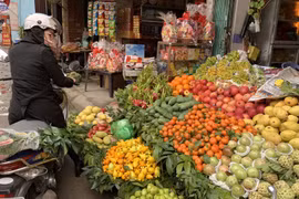 Sát Tết, trái cây ồ ạt tăng giá, thương lái bao mua tận vườn