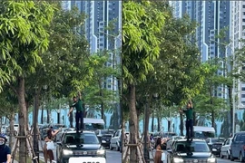 Đến hẹn lại lên bí kíp hái trộm xoài được netizen truyền tay nhau