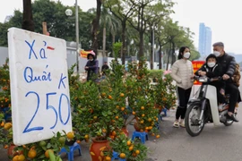 Dạo qua thị trường chiều 28 Tết Nhâm Dần, xả hàng bất chấp