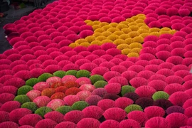 Đâu cần đi Huế, gần Hà Nội cũng có làng hương cực đẹp