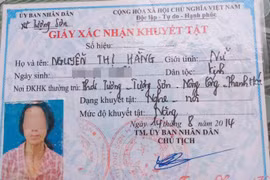 Thanh Hóa: Hai bố con đánh người phụ nữ mang thai nhập viện