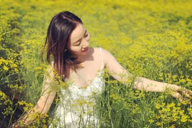 Mê mẩn cánh đồng thì là vàng ươm ở Ninh Thuận đang độ ra hoa