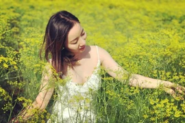 Mê mẩn cánh đồng thì là vàng ươm ở Ninh Thuận đang độ ra hoa