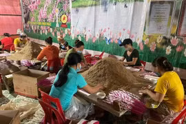 “Thủ phủ hương trầm” xứ Nghệ tất bật chuẩn bị đơn hàng giáp Tết