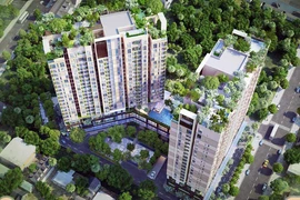 Lỗ gần 121 tỷ năm 2022, Nam Land còn gần 900 tỷ dư nợ trái phiếu