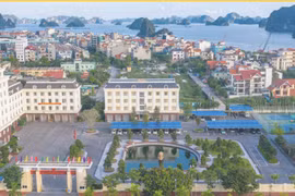 Tổng công ty Đông Bắc lãi 6 tháng gấp 2,1 lần, nợ phải trả 9.400 tỷ