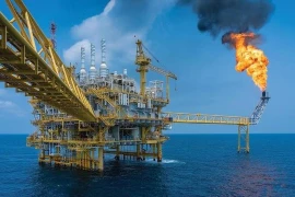 Chứng khoán ngày 7/8: PVD và IDC nắm giữ, BMP trung lập