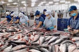 Ngành thủy sản 2023: Sẽ có tăng trưởng lợi nhuận âm do giá bán và tỷ suất lợi nhuận gộp giảm