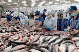 Ngành thủy sản 2023: Sẽ có tăng trưởng lợi nhuận âm do giá bán và tỷ suất lợi nhuận gộp giảm