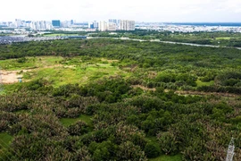 Cổ phiếu QCG tăng trần khi được trả lại 17 tỷ liên quan vụ án Phước Kiển