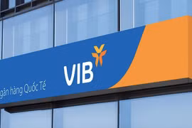 Nhận khoản vay 100 triệu USD từ IFC, VIB "chốt" kế hoạch tái cơ cấu