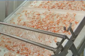 'Giấu' loạt tài liệu, ICF bị phạt 85 triệu đồng