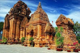 Điểm tên 4 loài cây ở Khu Tháp Bà Ponagar có tên trong Sách đỏ