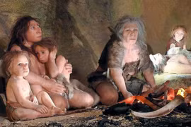 Điều gì minh chứng con người mang dòng máu lai của loài ăn thịt ma mút? 