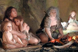 Điều gì minh chứng con người mang dòng máu lai của loài ăn thịt ma mút? 