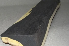 Gỗ đen châu Phi đắt đỏ nhất thế giới vì điều này