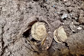 Tình cờ phát hiện kho báu 20 tỷ khi đang sửa nhà