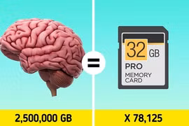 12 sự thật lạ lùng đến khó tin nhưng khoa học đã chứng minh 