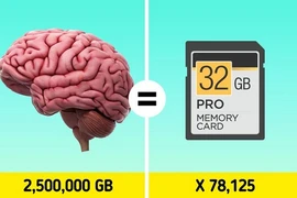 12 sự thật lạ lùng đến khó tin nhưng khoa học đã chứng minh 