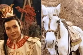 Điều ít biết về đồ đệ thứ 4 pháp lực cao cường của Đường Tăng 