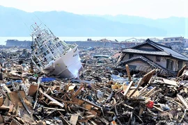 Điểm lại 4 thảm thọa thiên nhiên cướp đi sinh mạng hàng triệu người