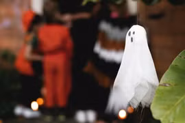 Những điều thú vị về Giáng Sinh có thể bạn chưa biết