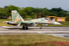 Làm chủ “Hổ mang chúa” SU-30MK2